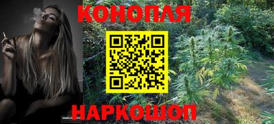 крисы Конаково