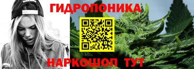 крисы Конаково