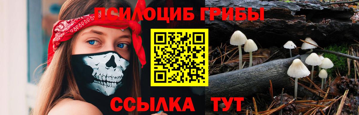 Галлюциногенные грибы ЛСД  цены наркотик  Кубинка  Вход с VPN 
