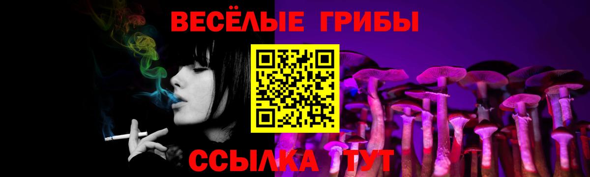 Галлюциногенные грибы MAGIC MUSHROOMS Кубинка